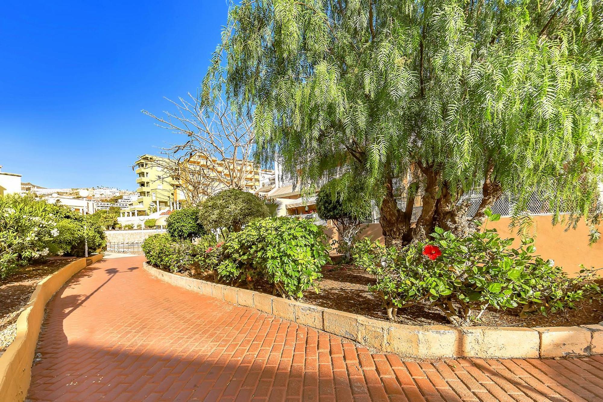 Tenerifeopenhome Ocean View Costa Adeje Costa Adeje (Tenerife) Exterior foto